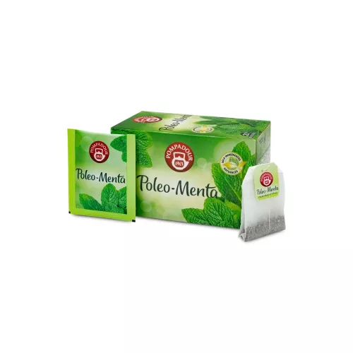 Pompadour Poleo Menta 100 Sobres